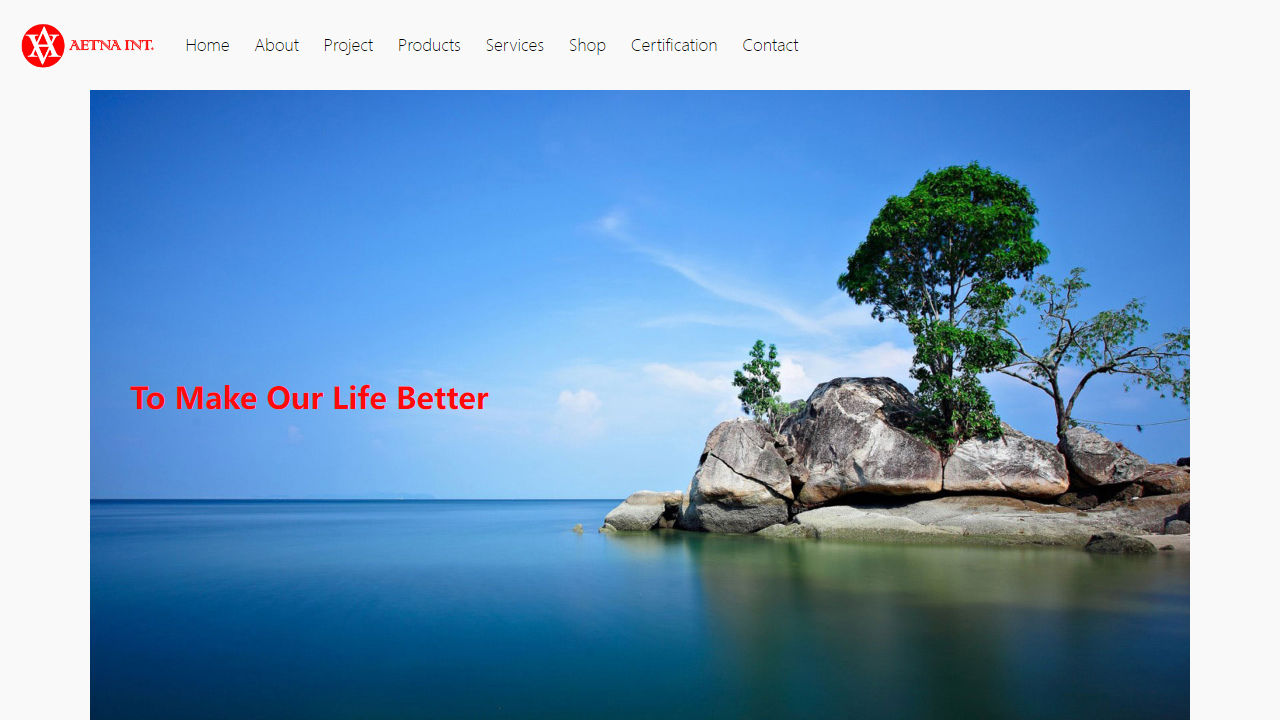 aetnaint.com