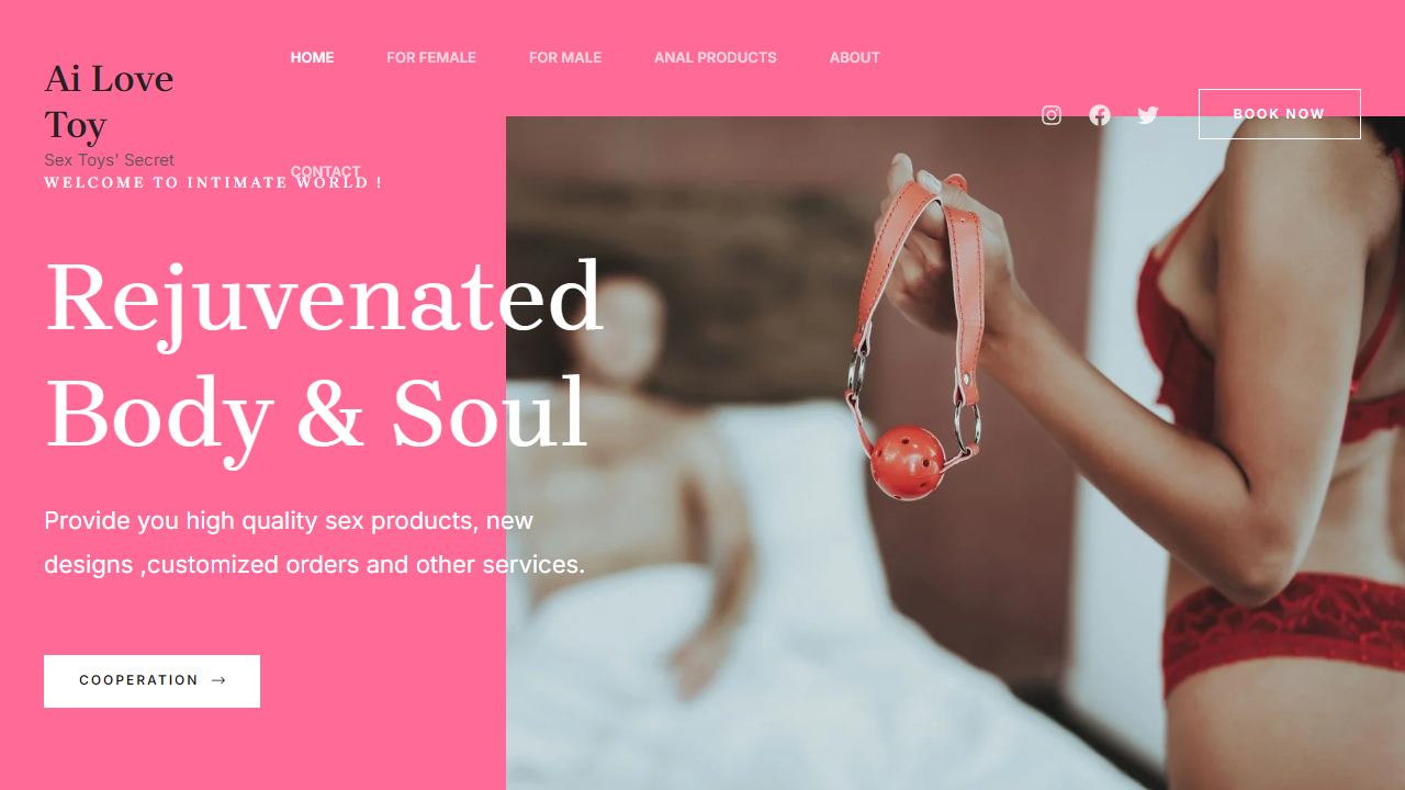 ailovetoy.com
