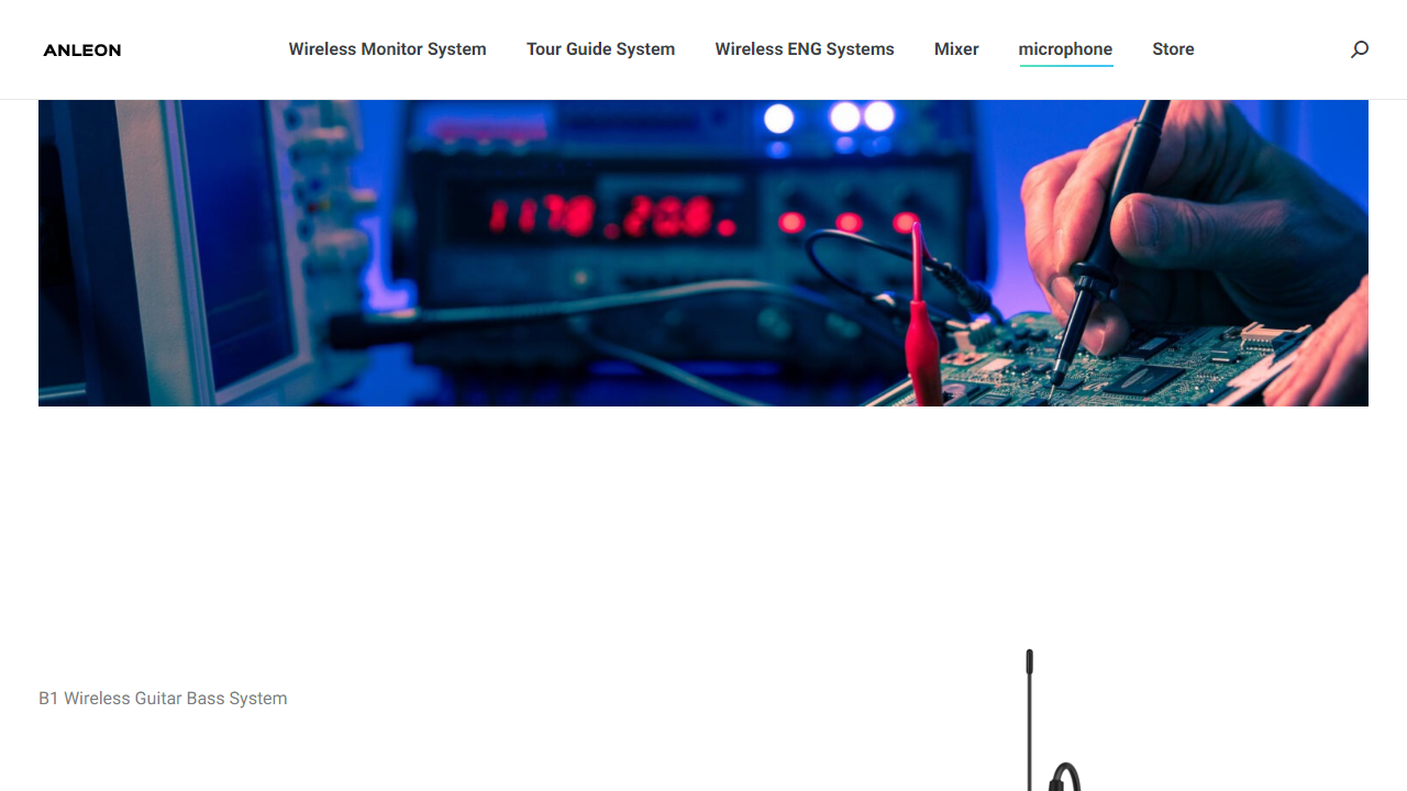 anleon.com