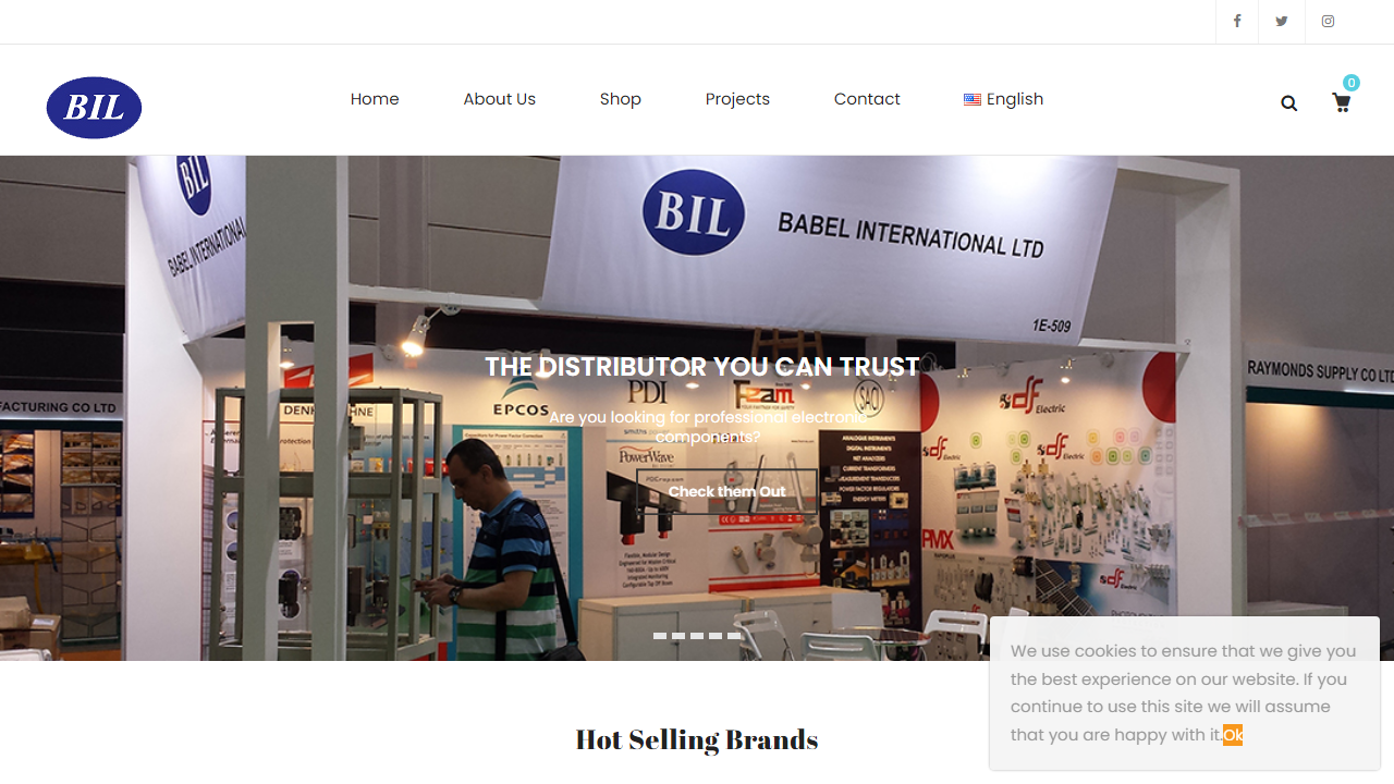 babelinternational.com
