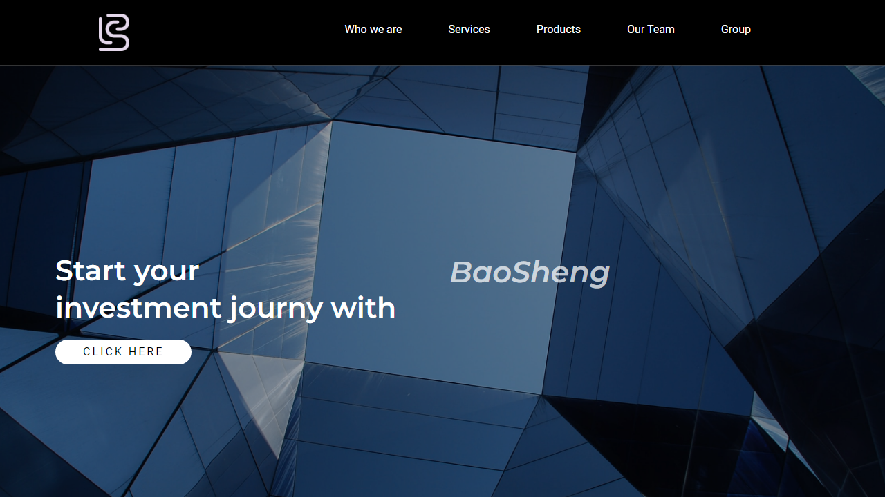 baoshenginvest.com