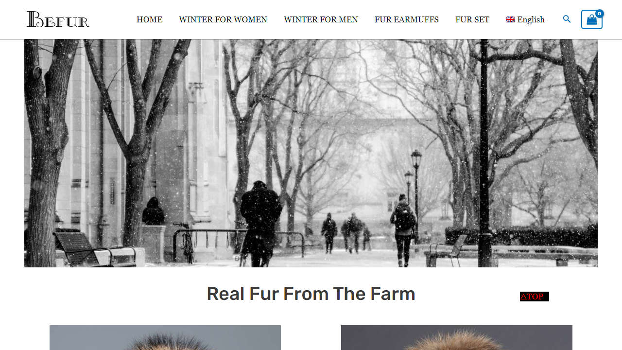 befur.net