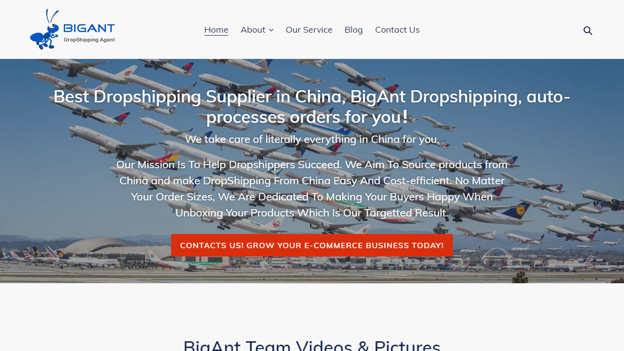bigantdropshipping.com