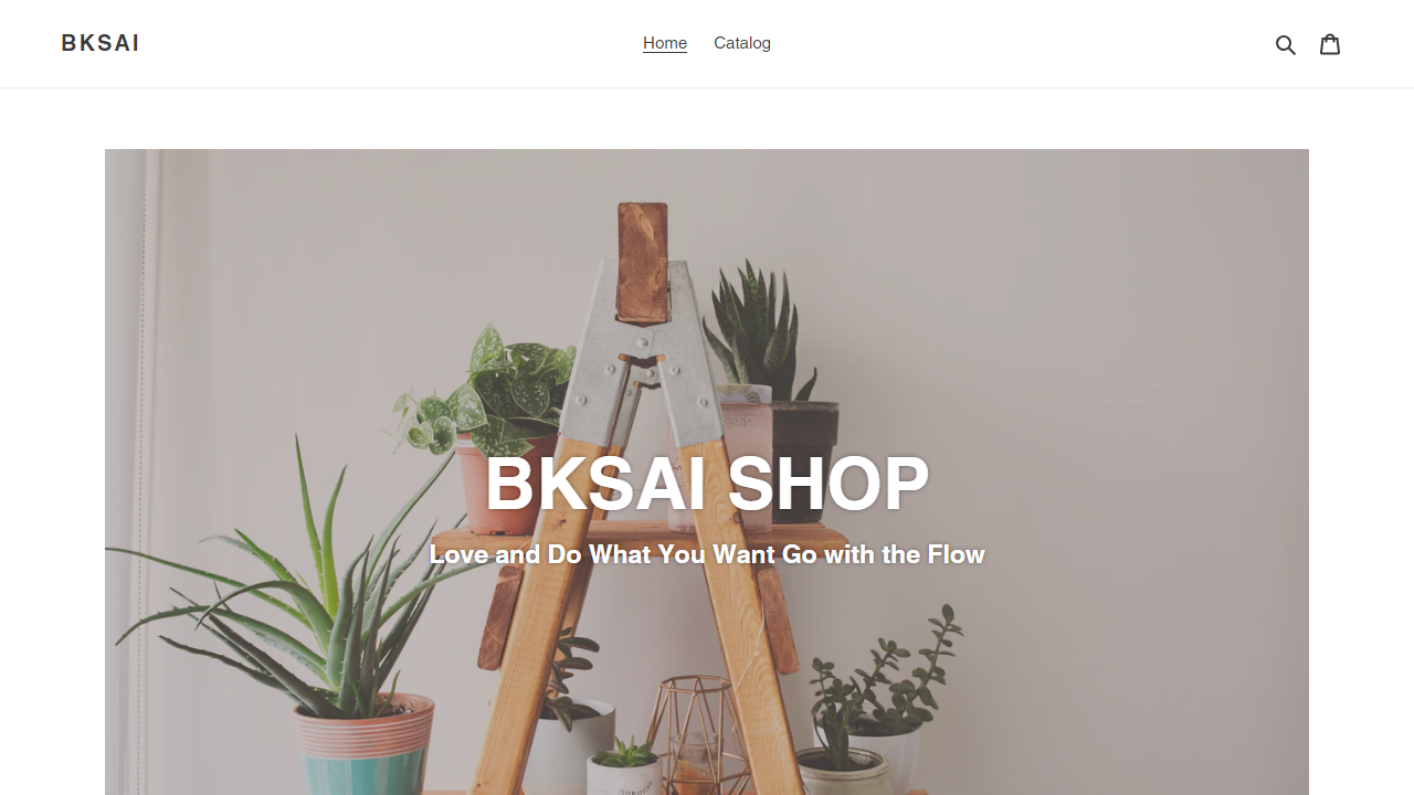 bksai.com