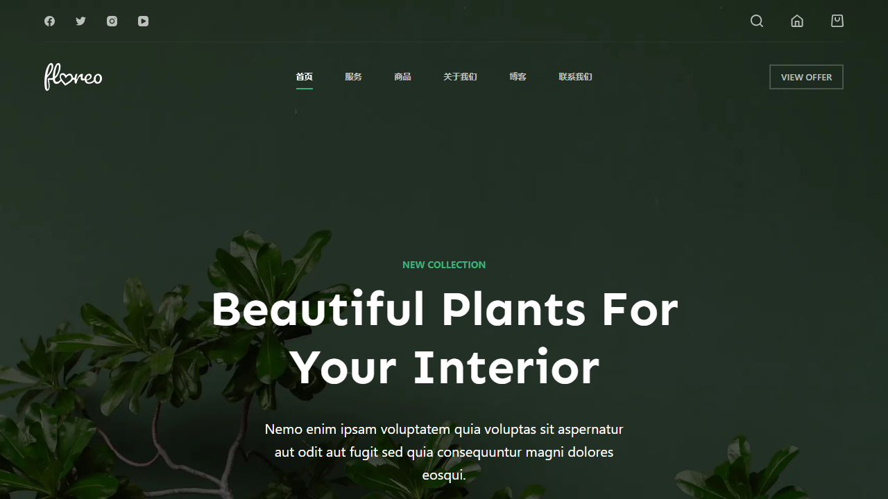 diaosiquan.com
