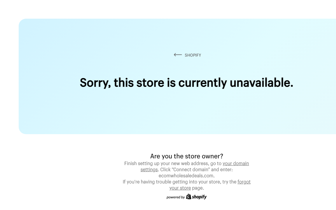 ecomwholesaledeals.com