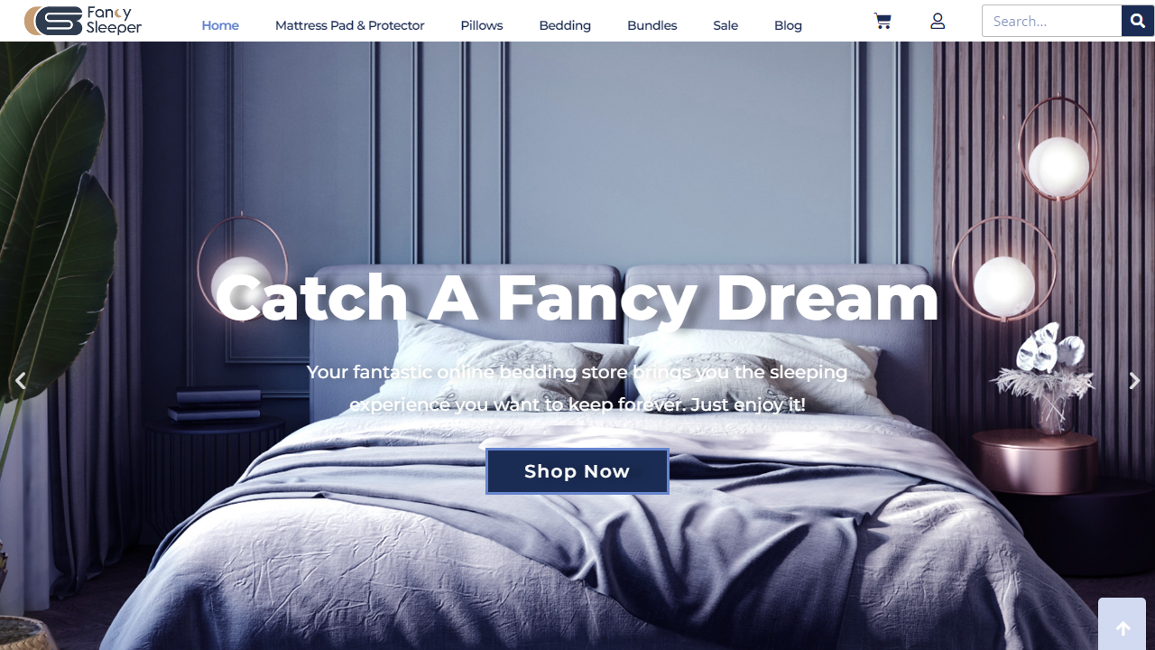 fancysleeper.com
