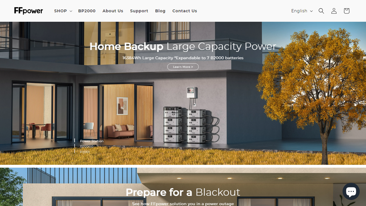 ffpower.com