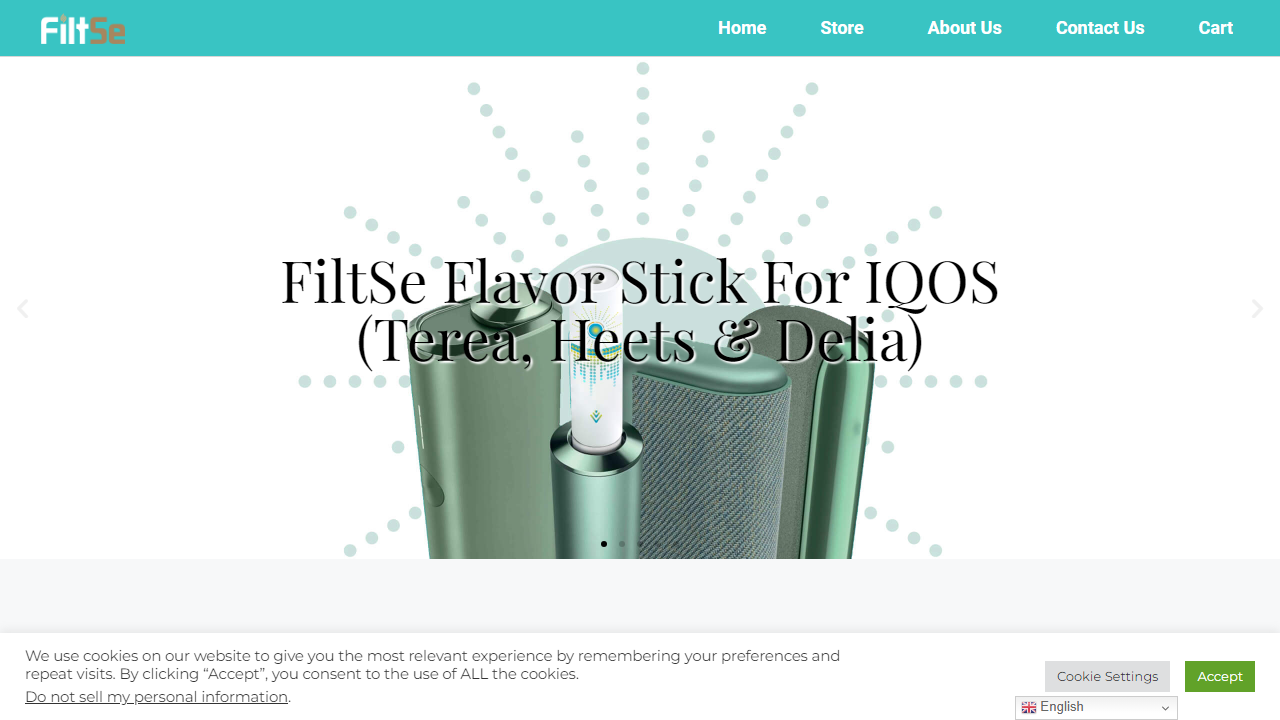 filtse.com