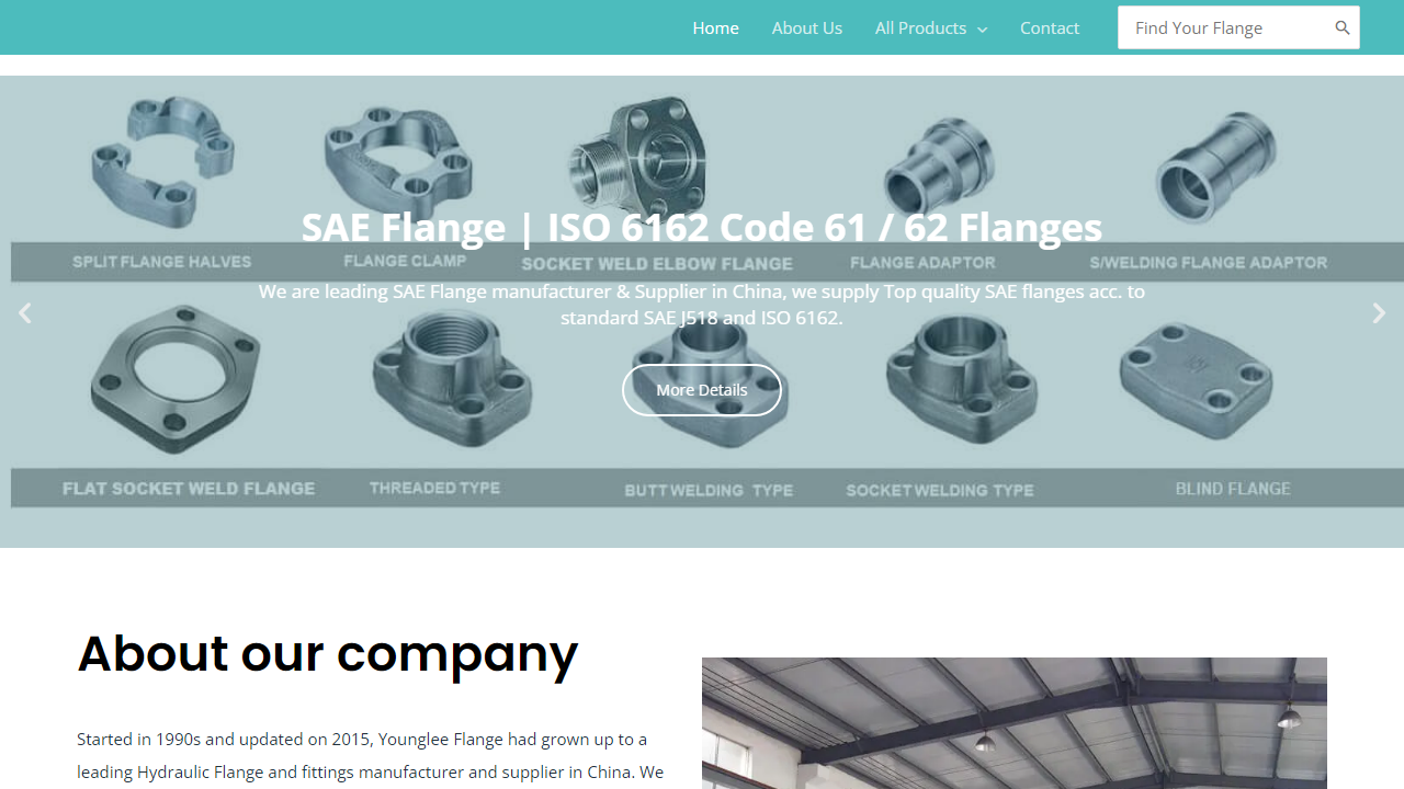 flanges-pipe.com