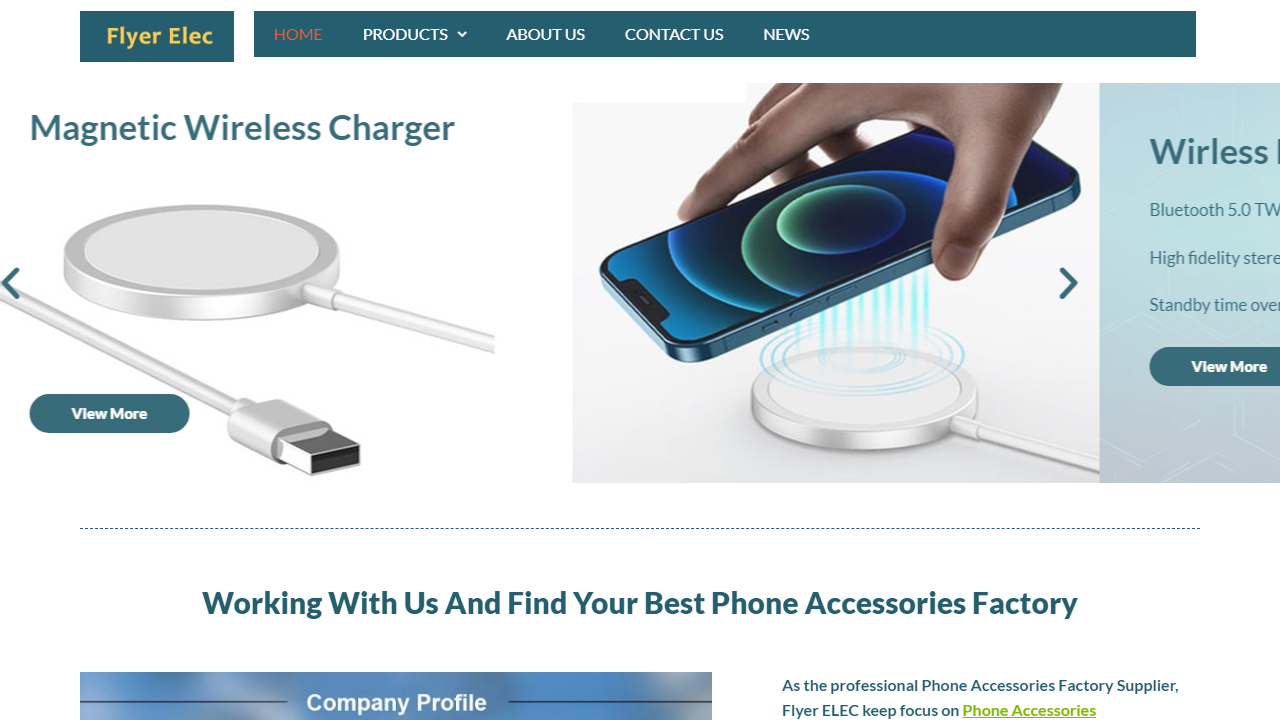 flyerelec.com