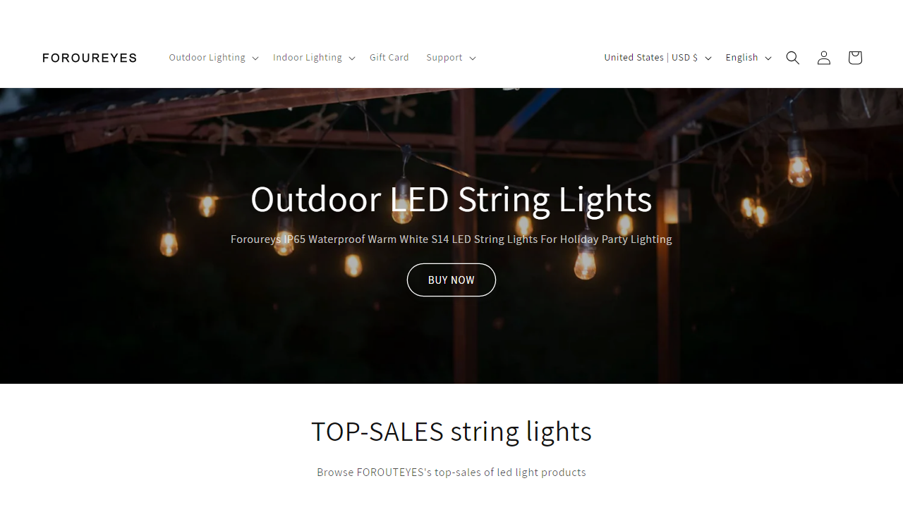 foroureyes-ledlighting.com