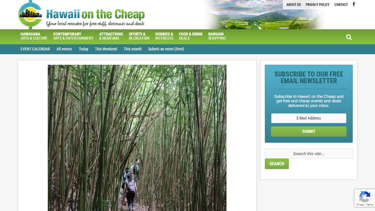hawaiionthecheap.com