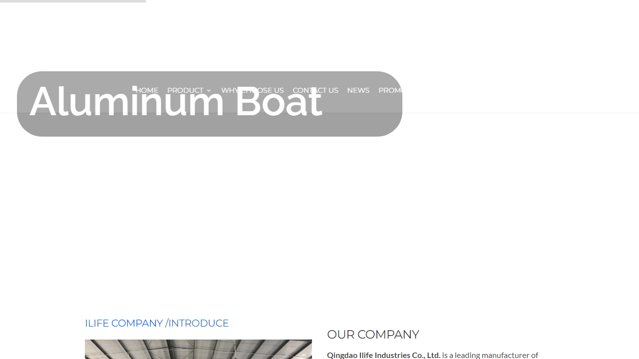 inflatableribboats.com