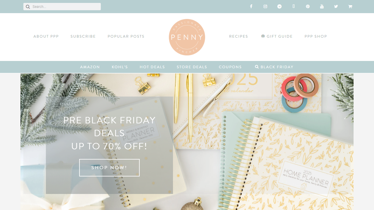 passionatepennypincher.com