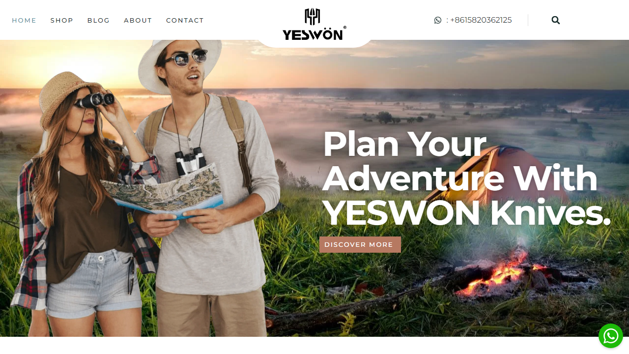 yeswon.cn